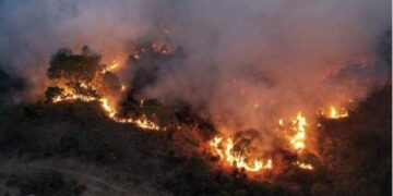 Habrá cárcel para quién provoque incendios forestales en Tamaulipas